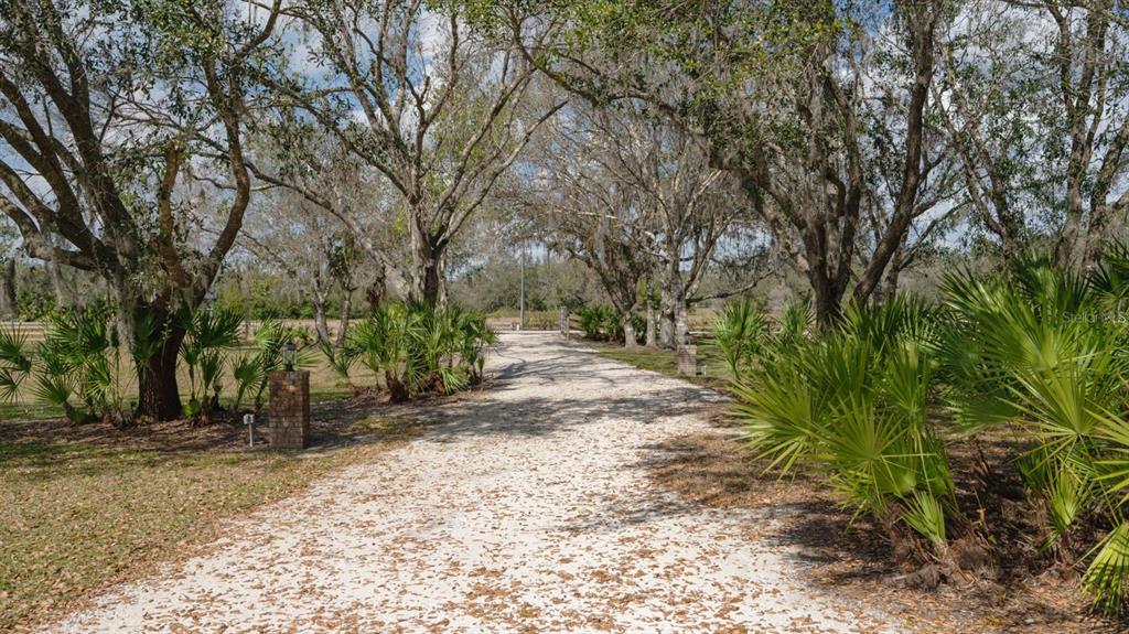 1950 Bern Creek Loop Sarasota, FL 34240 - Photo 8 of 60 a view of a yard with plants and trees