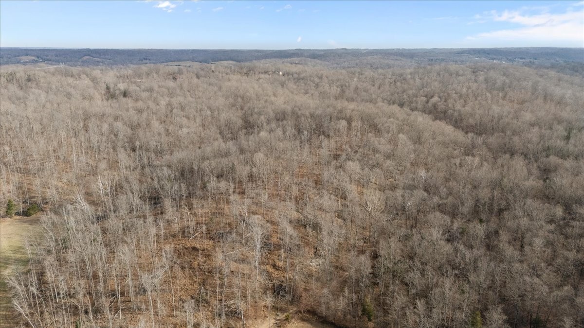 3955 Possum Hollow Road Palmyra, TN 37142 - Photo 11 of 22 a view of a room with an empty space and mountain view in back