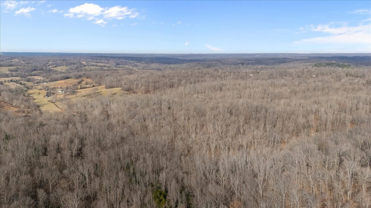 3955 Possum Hollow Road Palmyra, TN 37142 - Photo 13 of 22 a view of a field with an ocean in the background