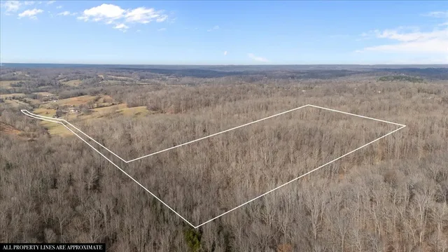 $170,000 | 3955 Possum Hollow Road, Palmyra, TN 37142