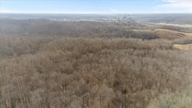 $170,000 | 3955 Possum Hollow Road, Palmyra, TN 37142