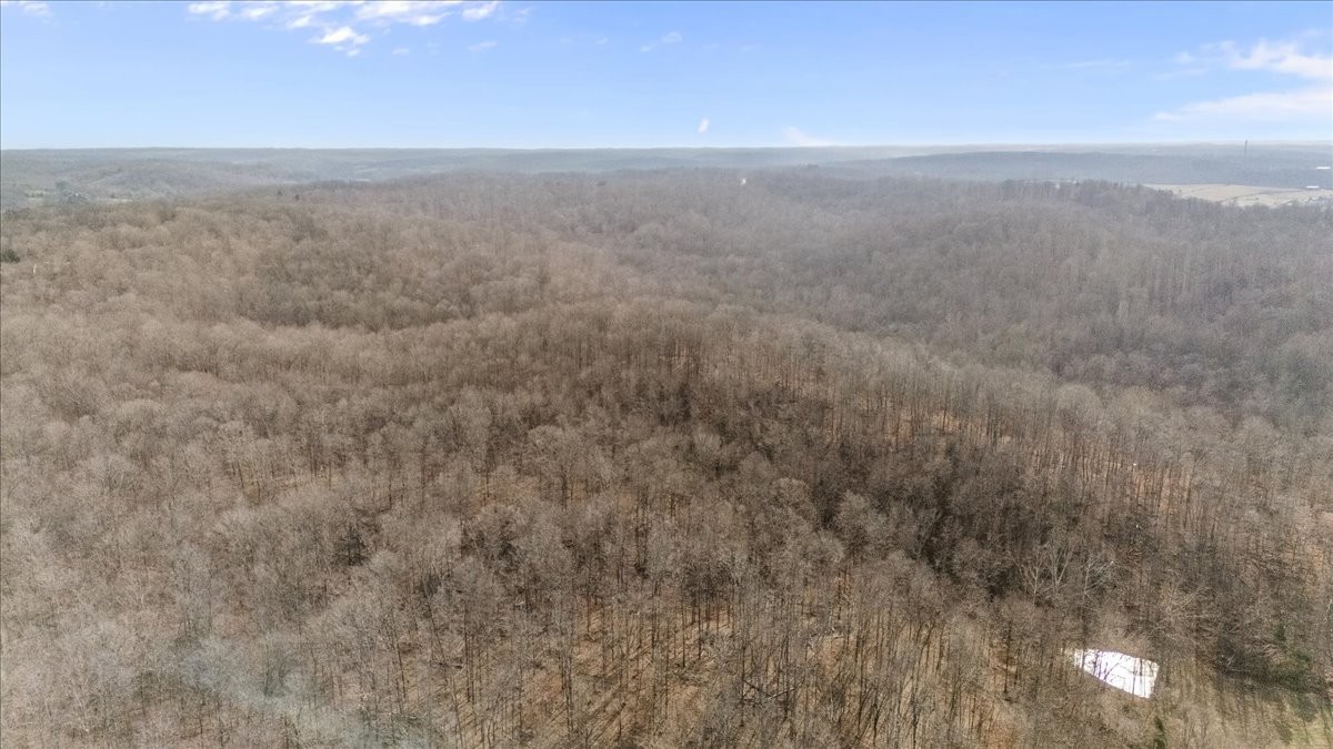 3955 Possum Hollow Road Palmyra, TN 37142 - Photo 17 of 22 a view of an ocean