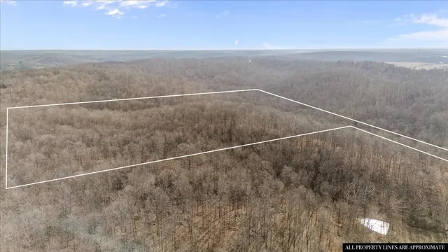 $170,000 | 3955 Possum Hollow Road, Palmyra, TN 37142