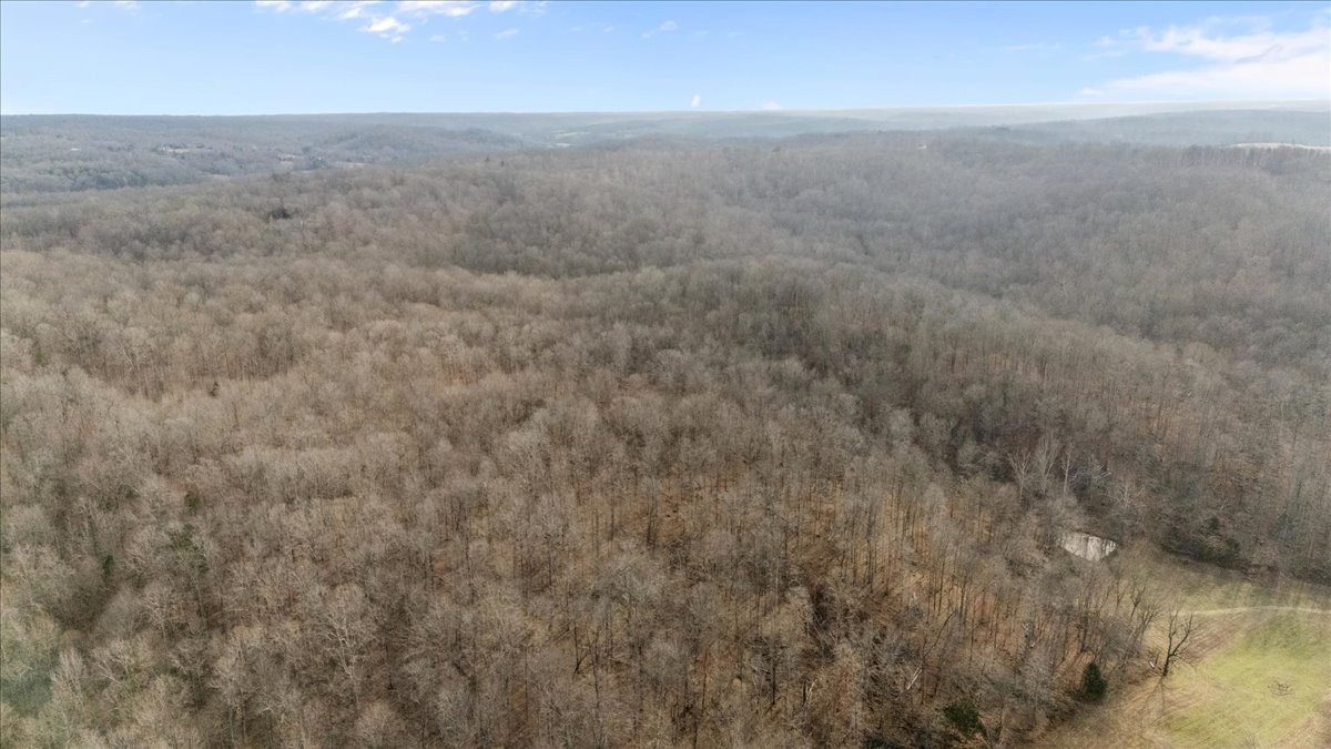 3955 Possum Hollow Road Palmyra, TN 37142 - Photo 19 of 22