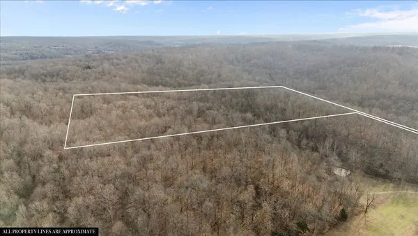 $155,000 | 3955 Possum Hollow Road, Palmyra, TN 37142