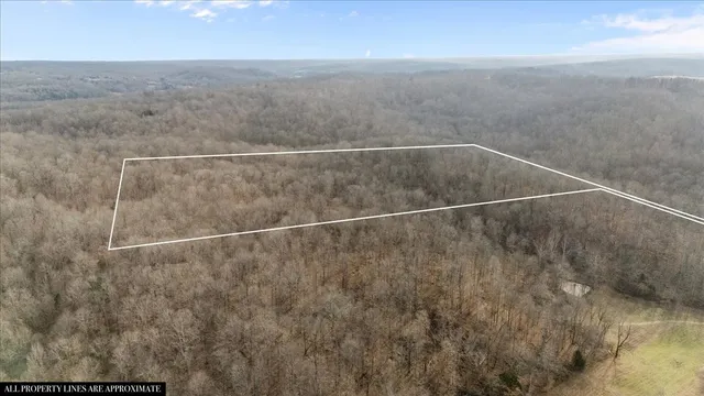 $170,000 | 3955 Possum Hollow Road, Palmyra, TN 37142