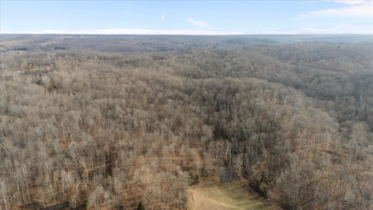 3955 Possum Hollow Road Palmyra, TN 37142 - Photo 21 of 22 a view of a dry yard