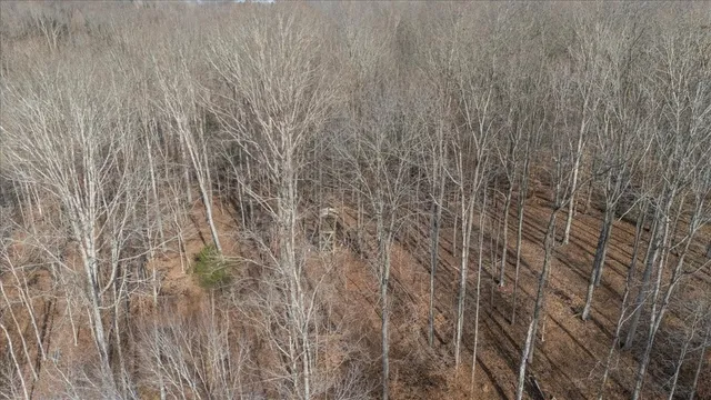 $170,000 | 3955 Possum Hollow Road, Palmyra, TN 37142