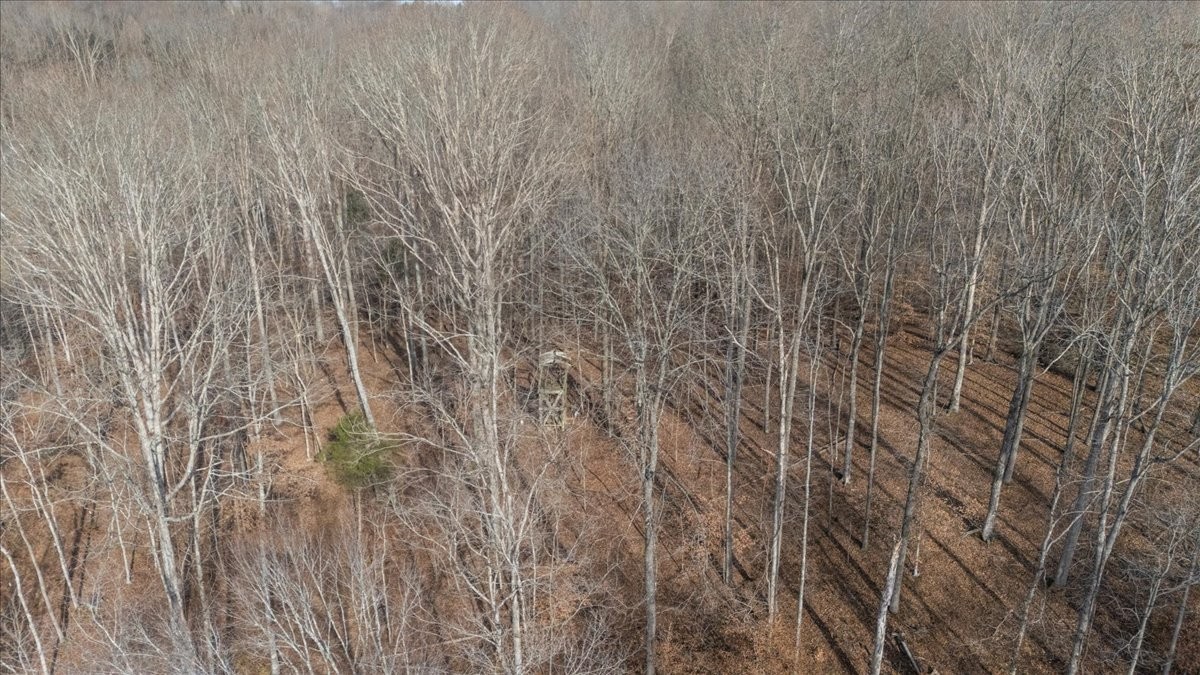 3955 Possum Hollow Road Palmyra, TN 37142 - Photo 4 of 22
