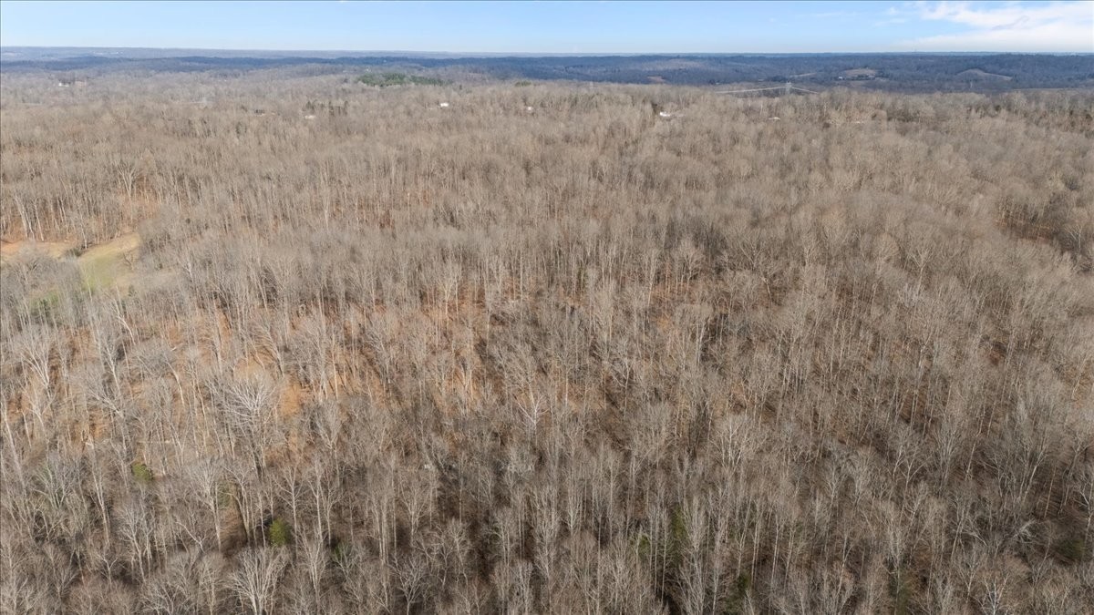 3955 Possum Hollow Road Palmyra, TN 37142 - Photo 5 of 22 a view of a dry yard with trees