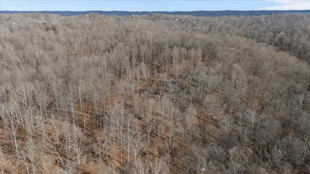 $170,000 | 3955 Possum Hollow Road, Palmyra, TN 37142