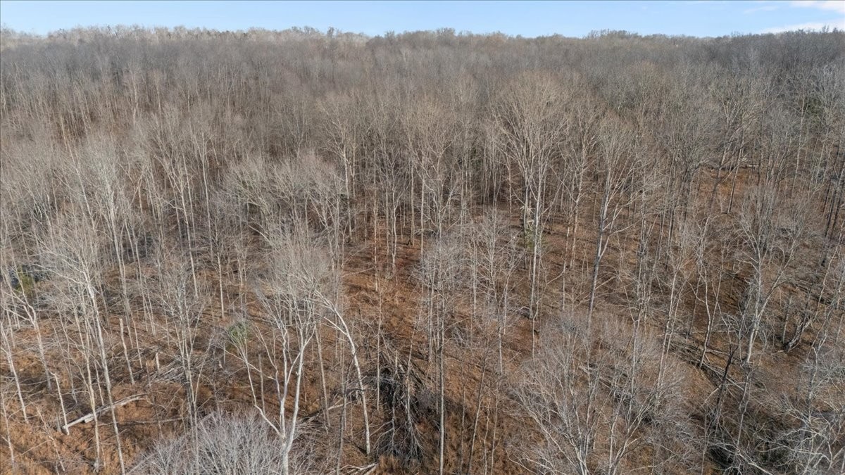 3955 Possum Hollow Road Palmyra, TN 37142 - Photo 7 of 22 a view of a dry field with trees in background