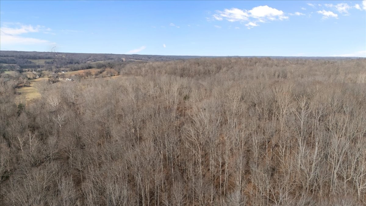 3955 Possum Hollow Road Palmyra, TN 37142 - Photo 8 of 22 a view of a room with a dry space