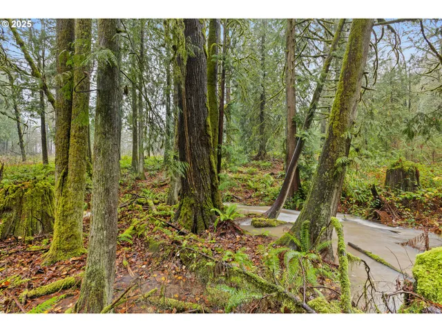 $719,900 | 34321 Southeast Colorado Road, Sandy, OR 97055