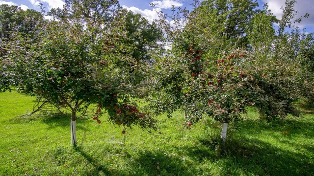 $325,000 | 230 1st Avenue East, Clear Lake, WI 54005