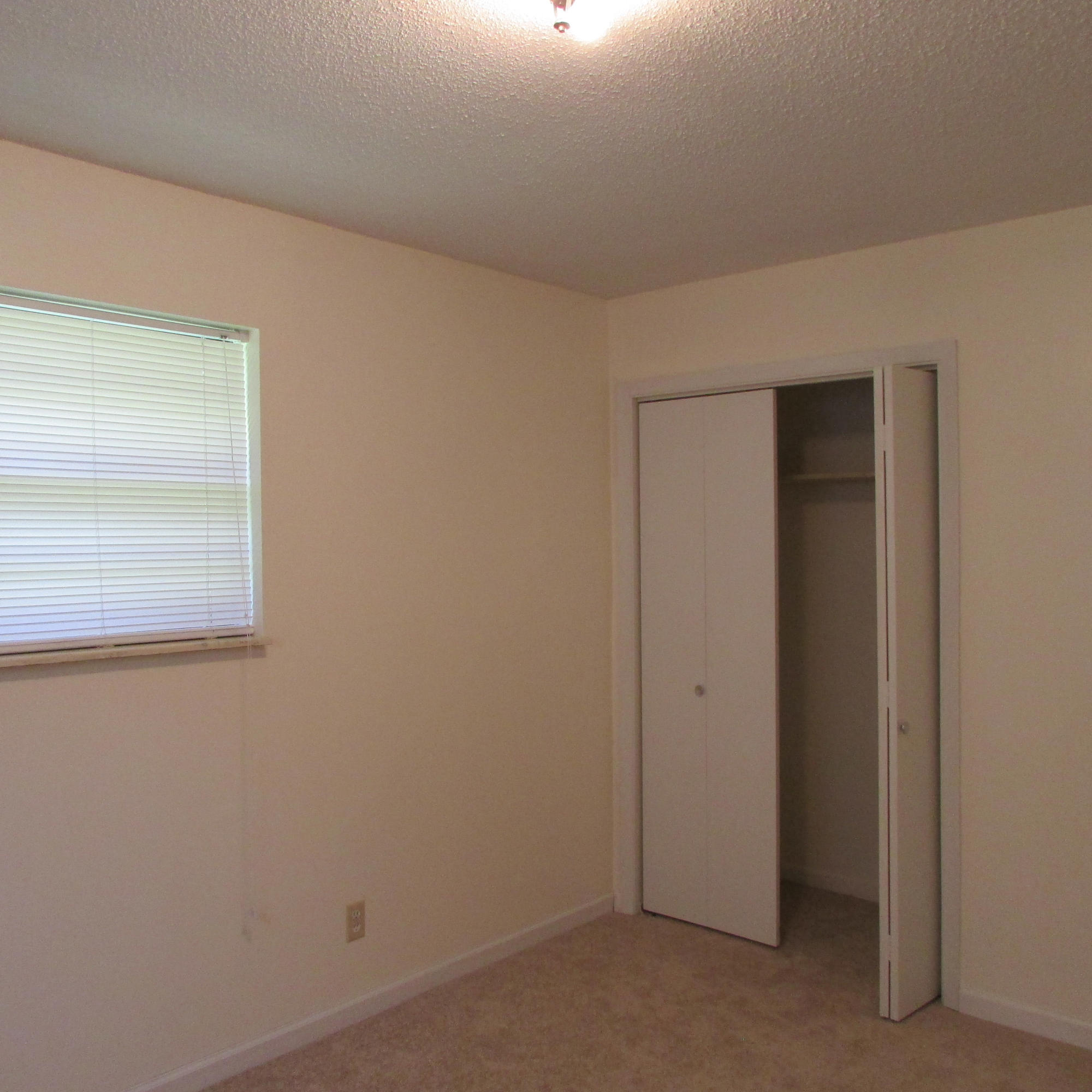 344 Sycamore Street Bean Station, TN 37708 - Photo 14 of 26 Sycamore 315