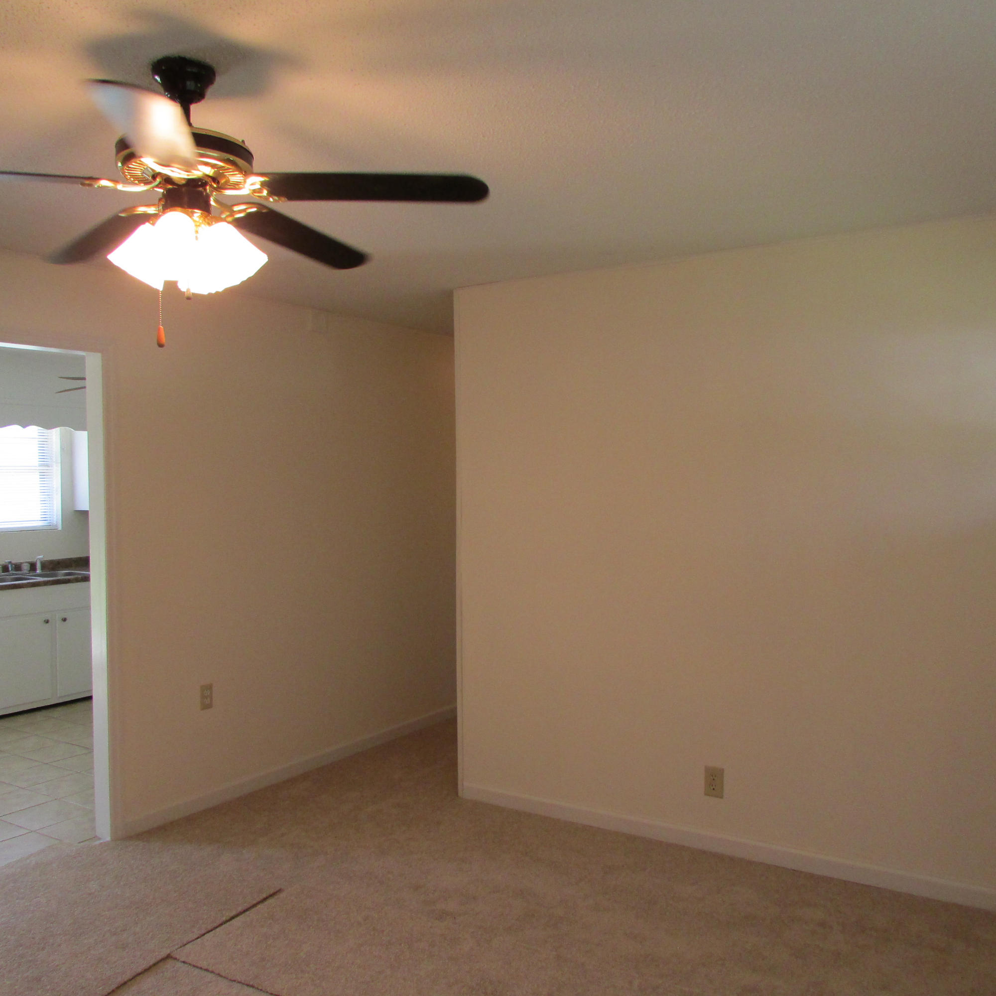 344 Sycamore Street Bean Station, TN 37708 - Photo 7 of 26 Sycamore 307