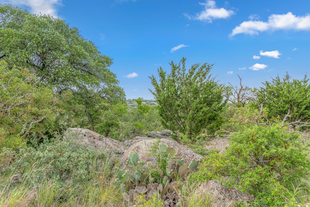 41 Rocksprings Tx 78880 Rocksprings, TX 78880 - Photo 27 of 62