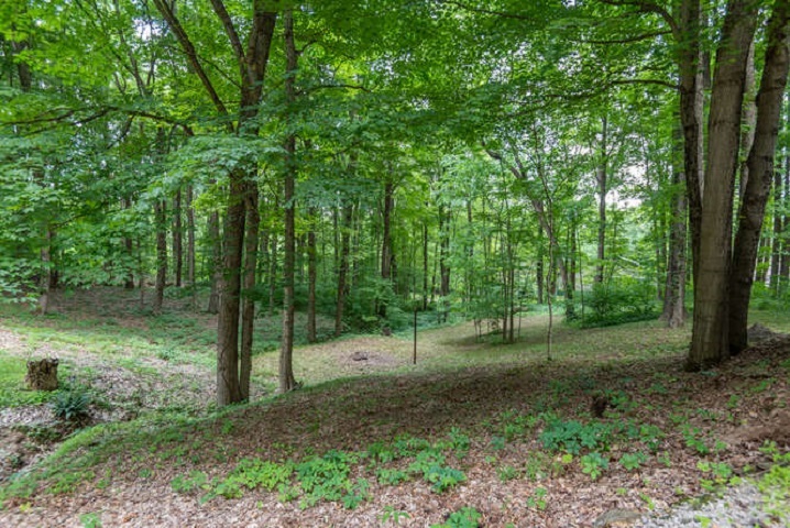 6565 West Duvall Road Bloomington, IN 47403 - Photo 33 of 36