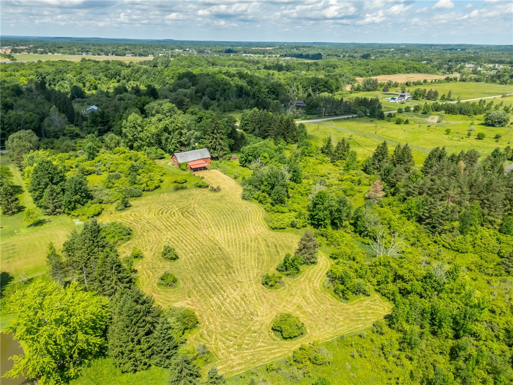 117 Amann Road Mendon, NY 14472 - Photo 42 of 43