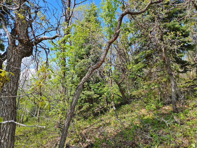 1246 East North Fork Road South, Unit 1246 Mount Pleasant, UT 84647 - Photo 3 of 7