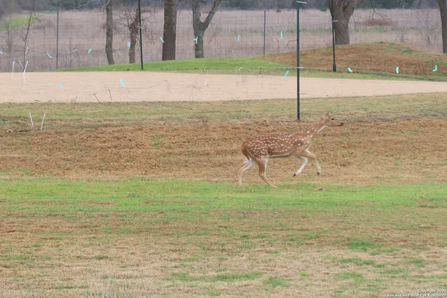 $2,500 | 178 Spring Creek Circle, Pipe Creek, TX 78063