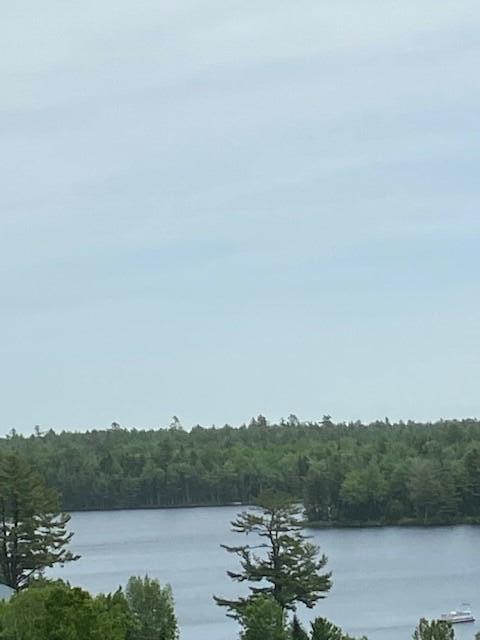 148 Emerson Preble Road Sullivan, ME 04664 - Photo 23 of 23 23_OLDMILL