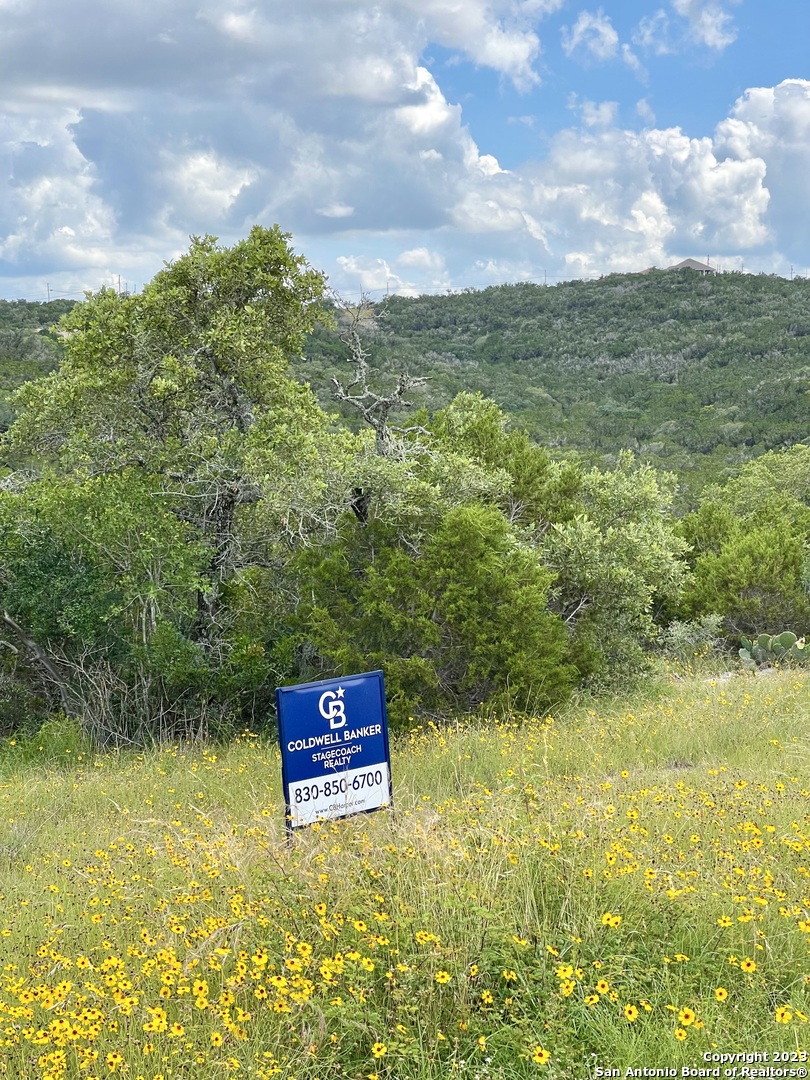 Lot 438 County Road Mico, TX 78056 - Photo 12 of 14 a view of a lake with a yard