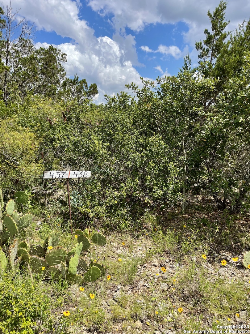 Lot 438 County Road Mico, TX 78056 - Photo 5 of 14 a view of a bunch of trees
