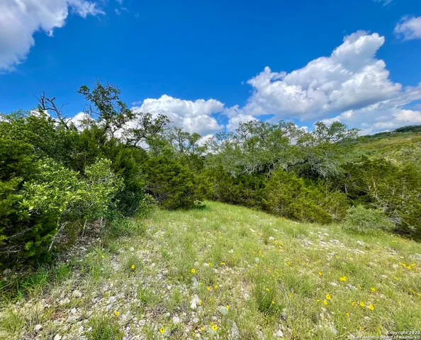 a view of a bunch of trees