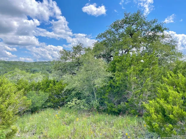 a view of a big yard