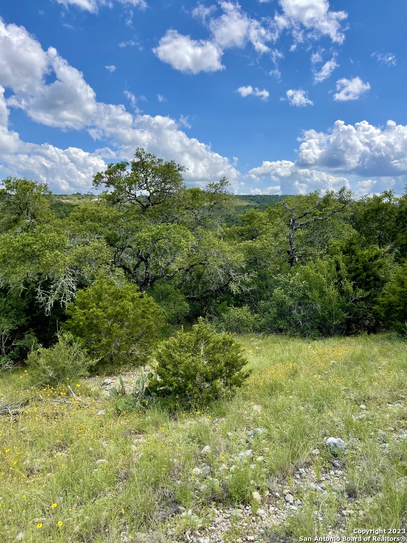 Lot 438 County Road Mico, TX 78056 - Photo 10 of 14 a view of a green field