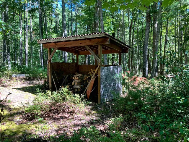a view of a backyard with plants