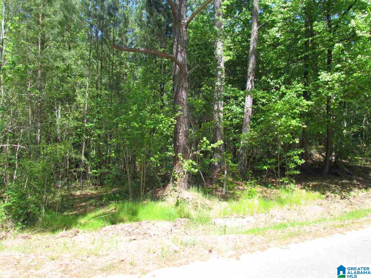 1605 Mountain Top Loop Road Pell City, AL 35128 - Photo 1 of 3