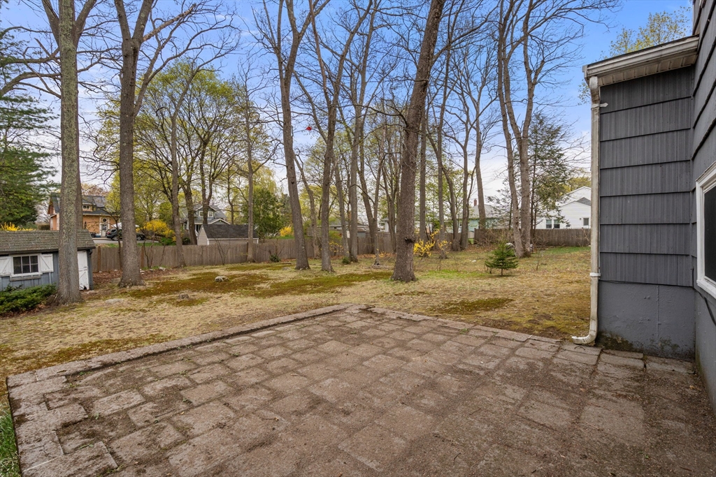 18 Royce Road Framingham, MA 01701 - Photo 26 of 30 a view of yard with tree