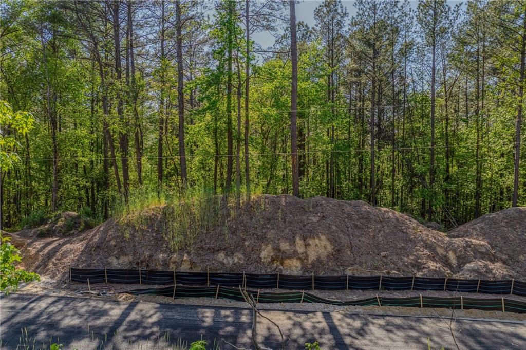 1559 Whitley Road Dacula, GA 30019 - Photo 18 of 34 a view of a backyard