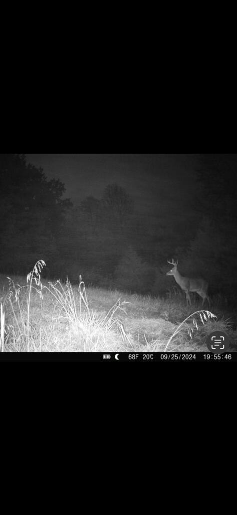 1 A Tea Run Road Ewing, KY 41039 - Photo 21 of 24 IMG_6727