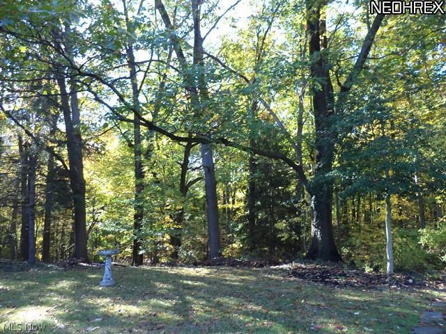 5730 East Sprague Road Broadview Heights, OH 44147 - Photo 24 of 24 Wooded Acreage