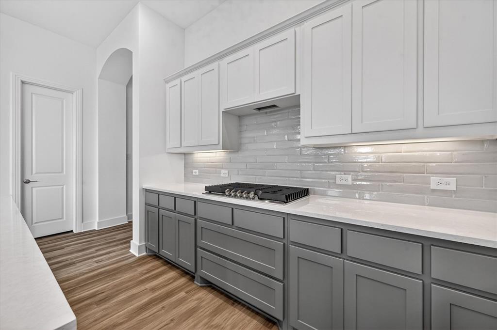 1629 Buscot Lane Fort Worth, TX 76052 - Photo 4 of 26 a kitchen with cabinets a sink and appliances