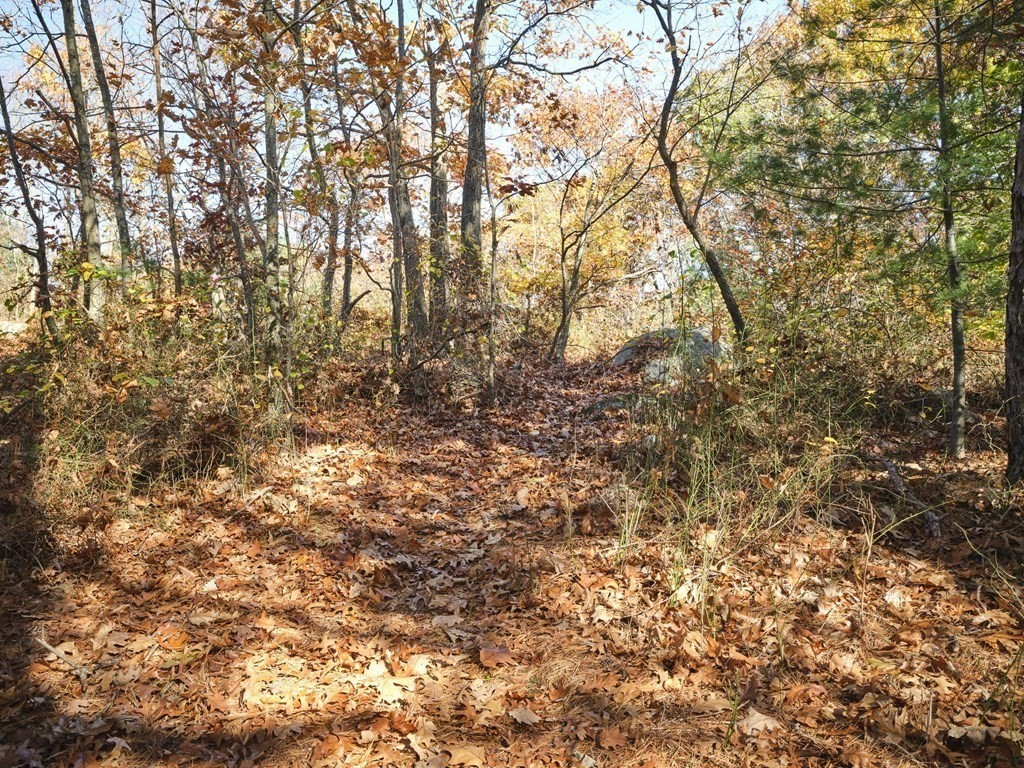 42 Commonwealth Road Lynn, MA 01904 - Photo 36 of 36 Gallery Image 36