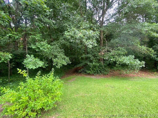 2264 Ebenezer Church Road Coats, NC 27521 - Photo 25 of 29 Gallery Image 25