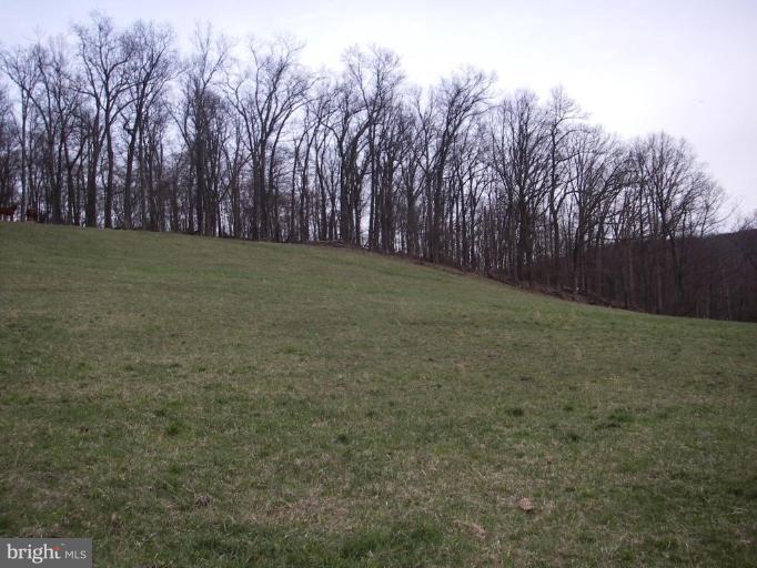 Waterloo Road Waynesboro, PA 17268 - Photo 6 of 7 Facing woods