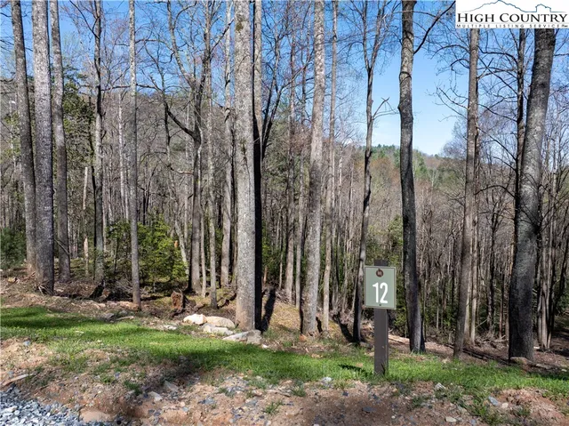$99,900 | Lot 12 Wildcat Wilderness Parkway, Deep Gap, NC 28618