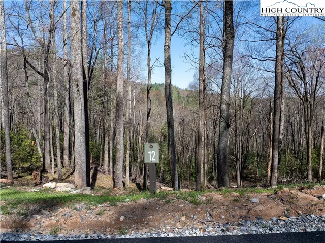$99,900 | Lot 12 Wildcat Wilderness Parkway, Deep Gap, NC 28618