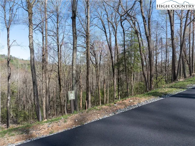 $99,900 | Lot 12 Wildcat Wilderness Parkway, Deep Gap, NC 28618