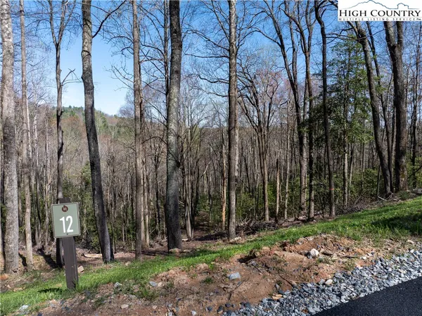 $99,900 | Lot 12 Wildcat Wilderness Parkway, Deep Gap, NC 28618