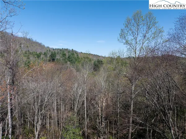 $99,900 | Lot 12 Wildcat Wilderness Parkway, Deep Gap, NC 28618