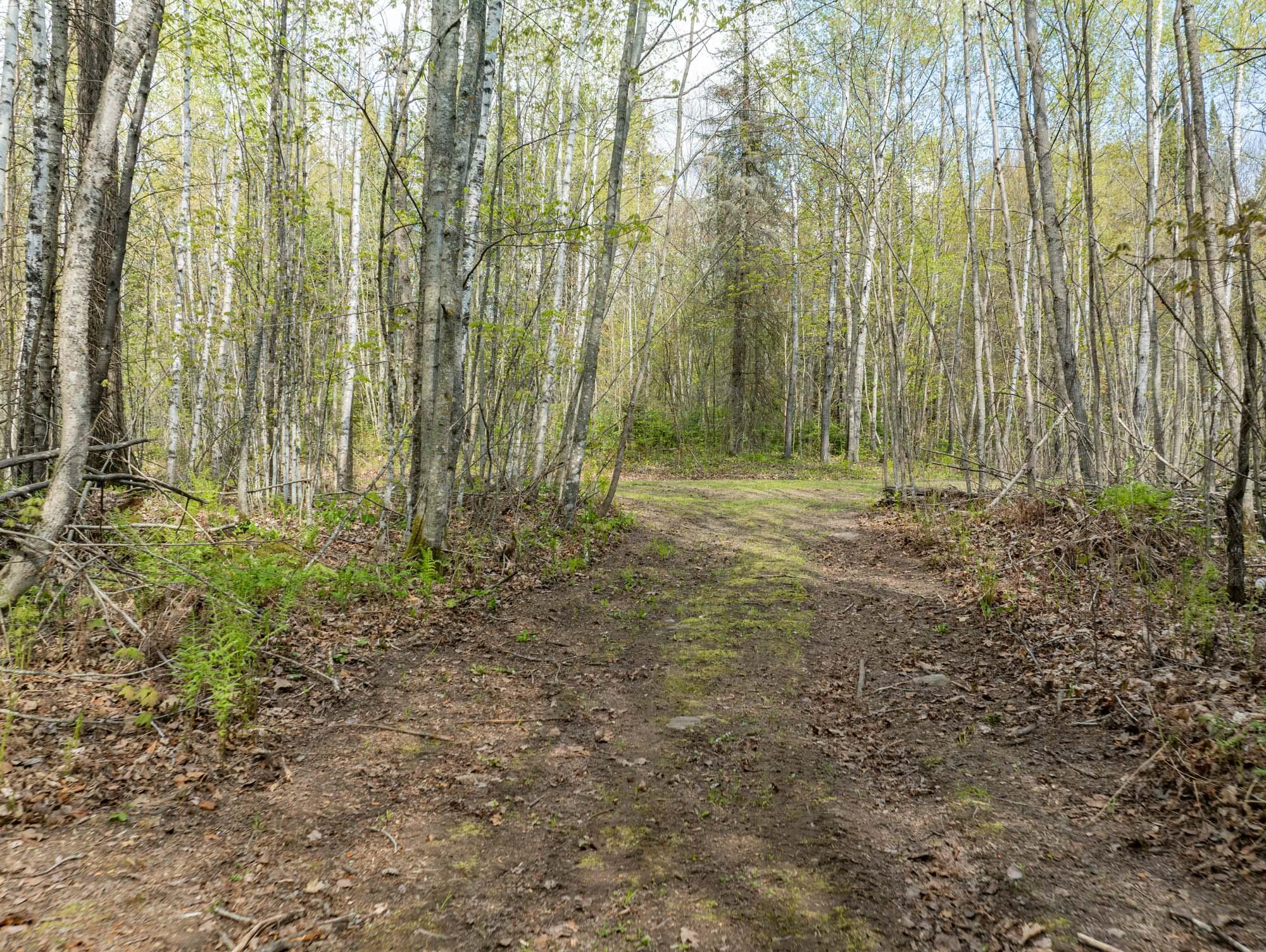 35020 East County Line Road Hill City, MN 55748 - Photo 23 of 31