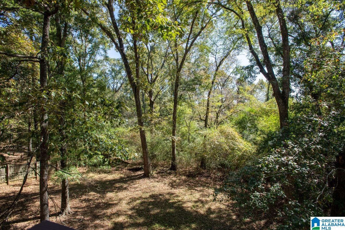 120 KOA Road Riverside, AL 35135 - Photo 31 of 31