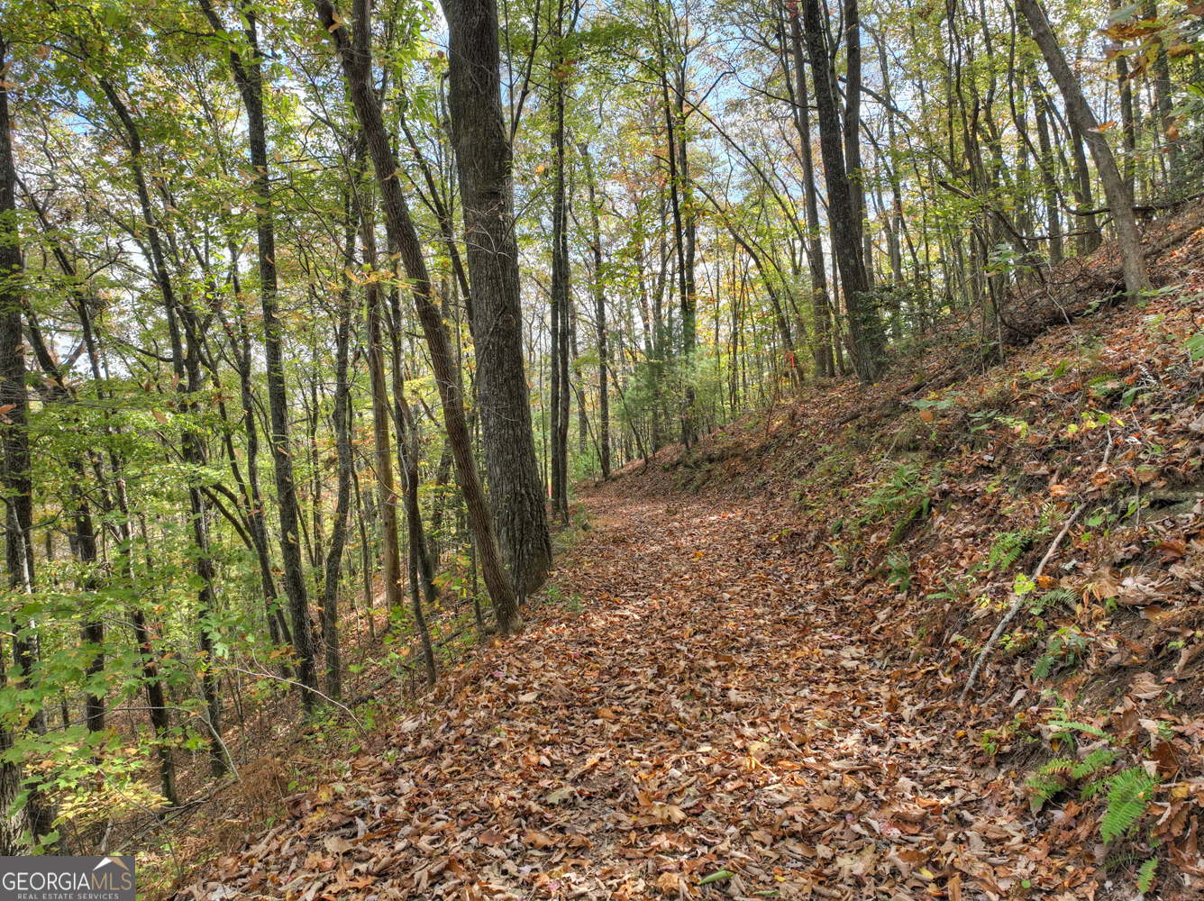 23-AC Weaver Creek Road Blue Ridge, GA 30513 - Photo 17 of 25 Gallery Image 17